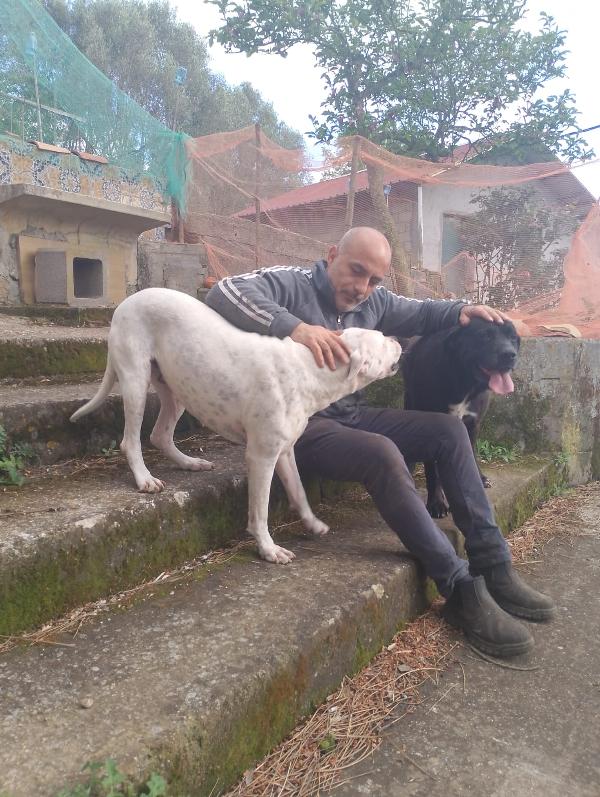 💔 Thor: Un gigante buono in cerca di amore 💔 Foto 3